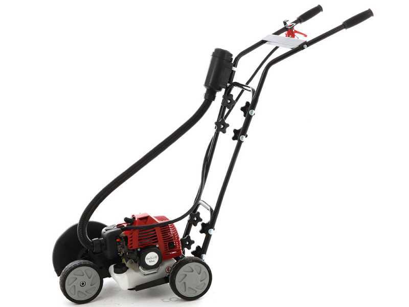 Aldi petrol lawn edger sale