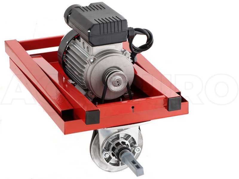 Palumbo Pavi LC PLAST - Tomato Press on Bench - 600 W Electric Motor