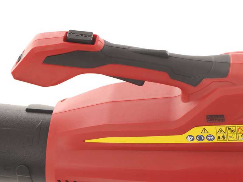 Blue Bird R3S 40V 2.5 Ah Electroc Battery-powered Leaf Blower - with Speed Adjuster