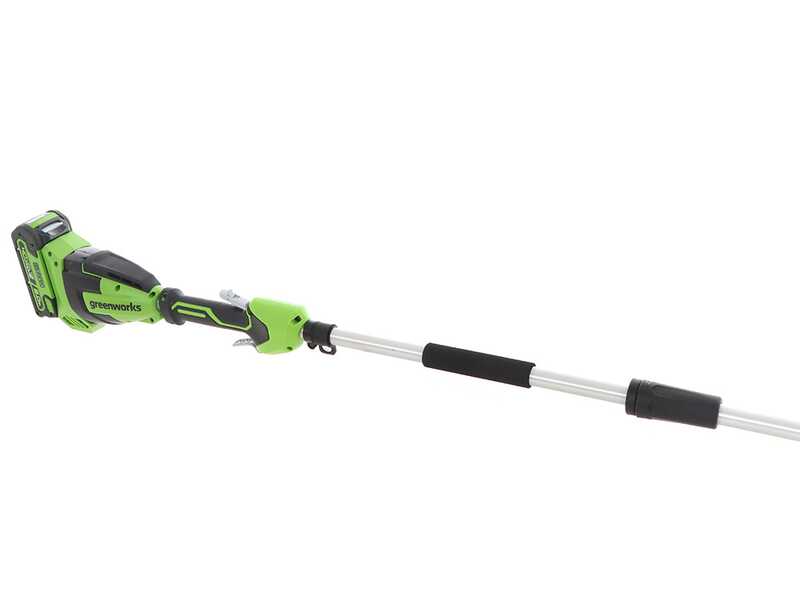Greenworks 20672 shop