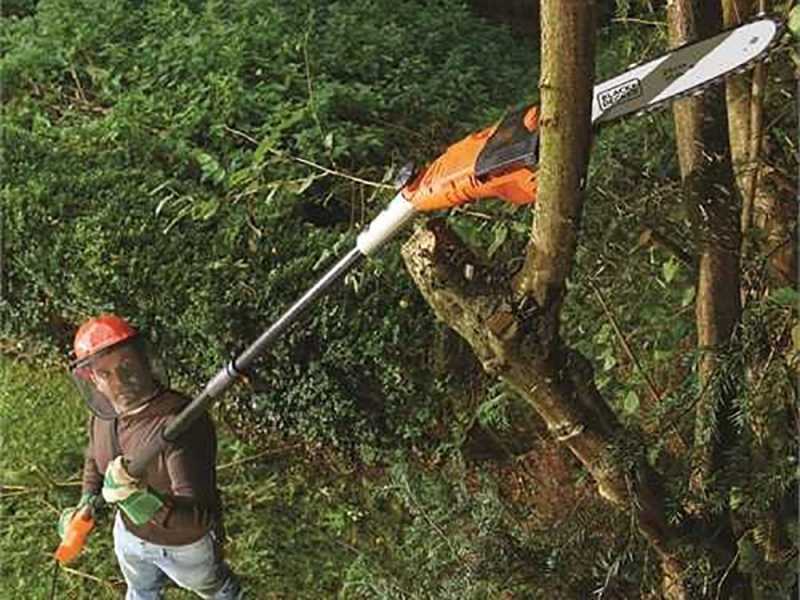 Electric telescopic best sale tree pruner