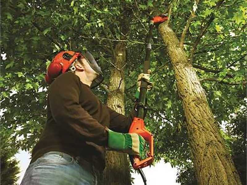 Black and decker ps7525 pole tree pruner sale