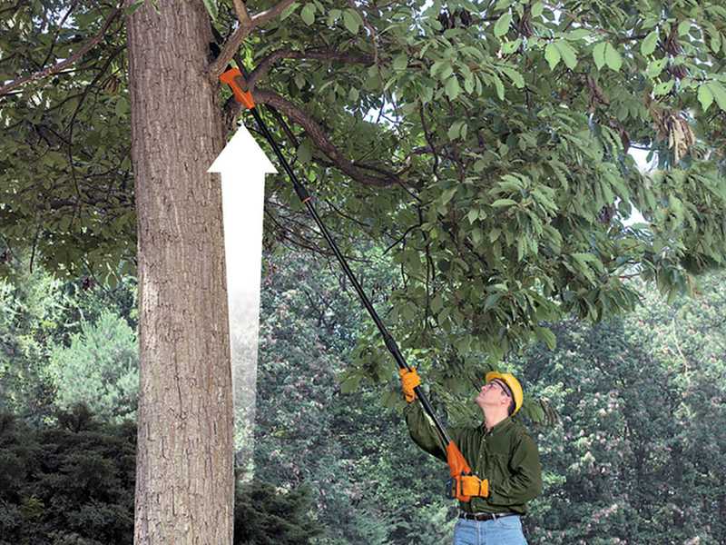 Black Decker GPC1820L20 QW 18V Battery powered Pruner on Extension Pole 2 Ah Battery