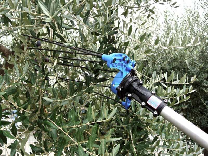 Campagnola HERCULES 58V Electric Battery-powered Olive Harvester with 185-270 cm Carbon Pole