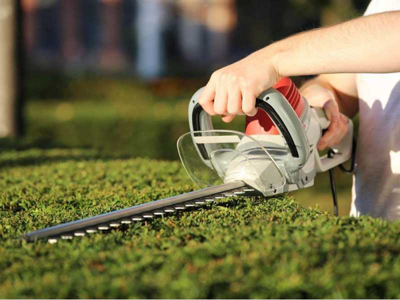 Lightweight electric top hedge trimmer