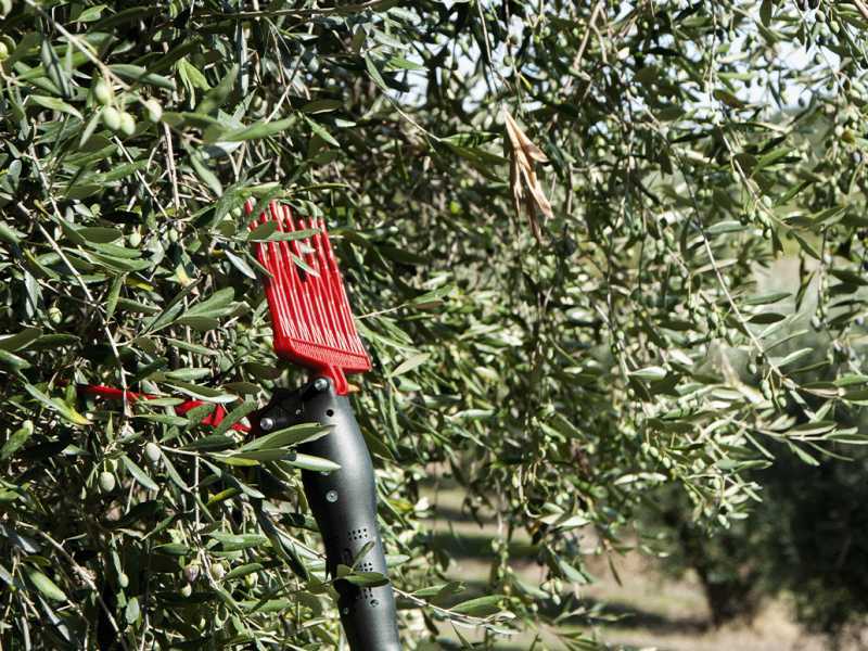 Castellari Olivance EP L V2 - Electric Battery-powered Olive Harvester - 200/300 Pole