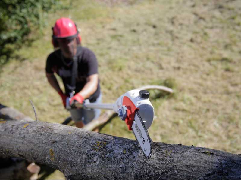 Electric pruning shop chainsaw
