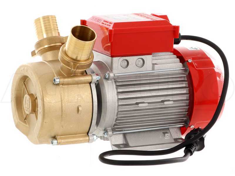 Rover 50 BE-M - Bronze electric transfer pump