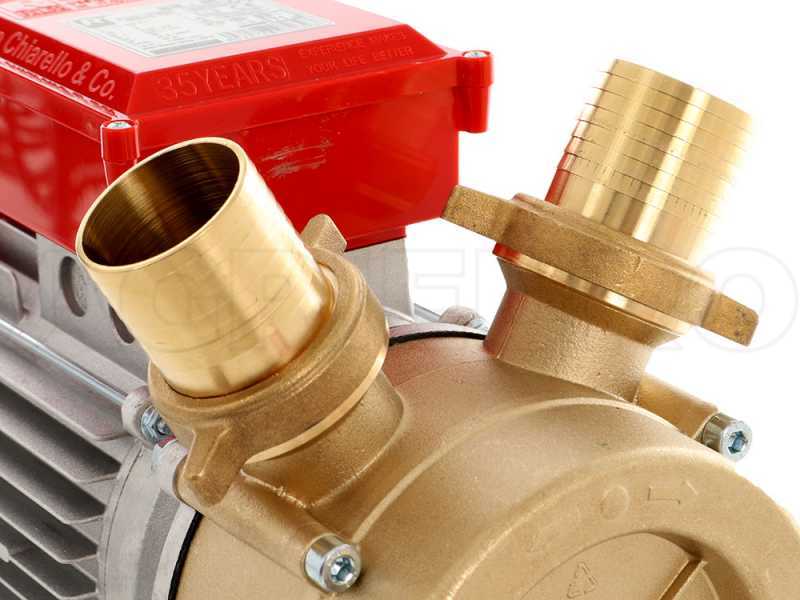 Rover 50 BE-M - Bronze electric transfer pump