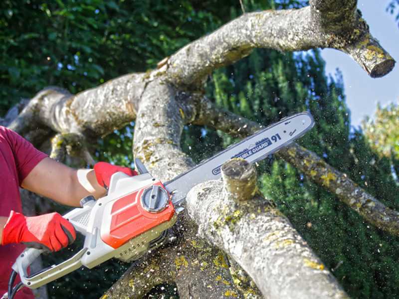Chain saw shop cutter