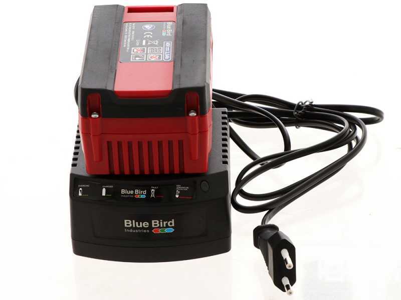 Bird chargers deals