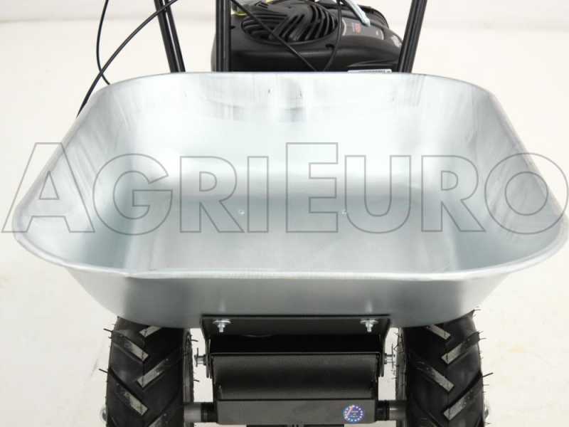 Power wheelbarrow with B S 450E engine best deal on AgriEuro