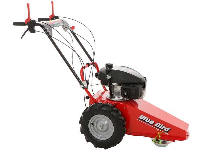 Blue Bird Petrol Rough Cut Mower Honda Engine best deal on AgriEuro