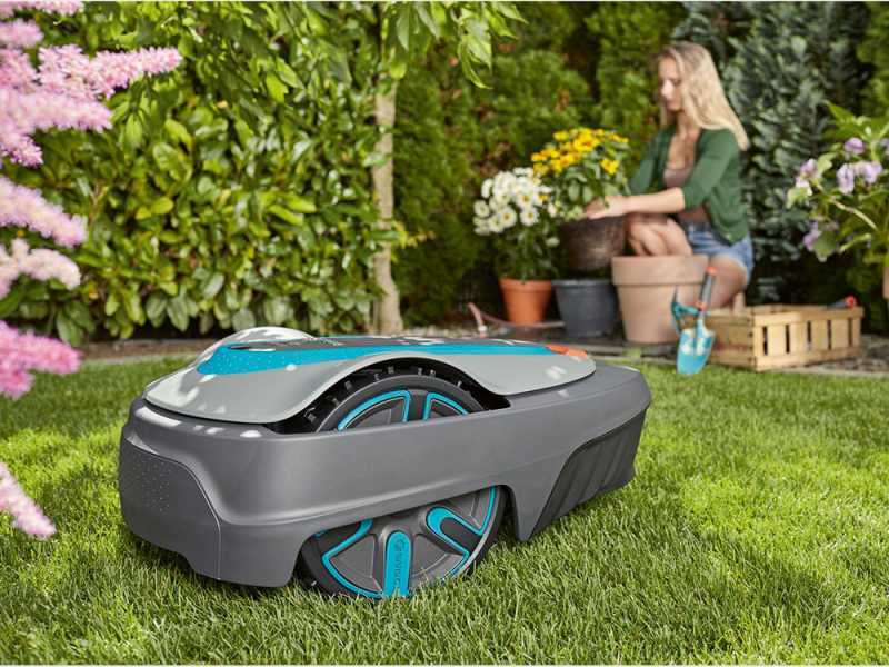 Garden 2025 sileno city