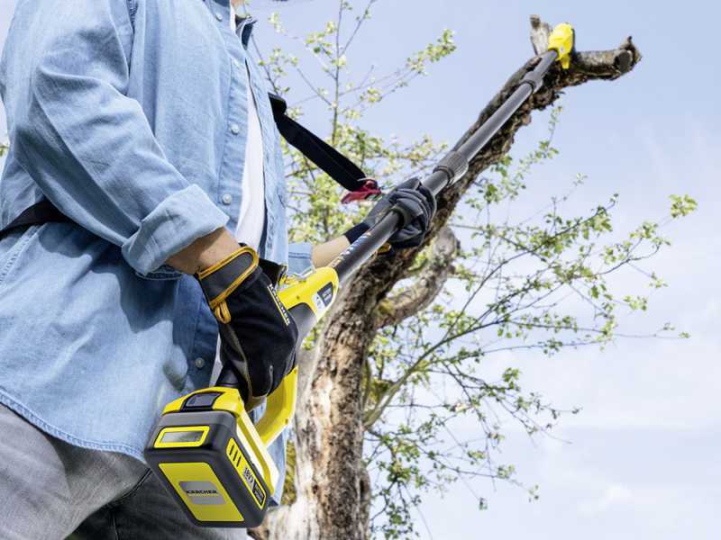 Dewalt 60v pole shop saw