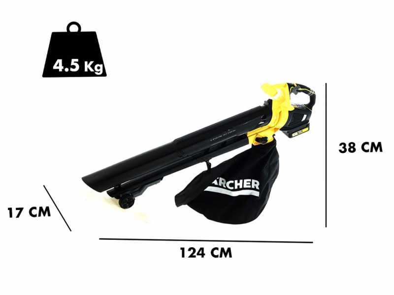 Karcher BLV 18-200 Cordless Leaf Blower and Vacuum Cleaner