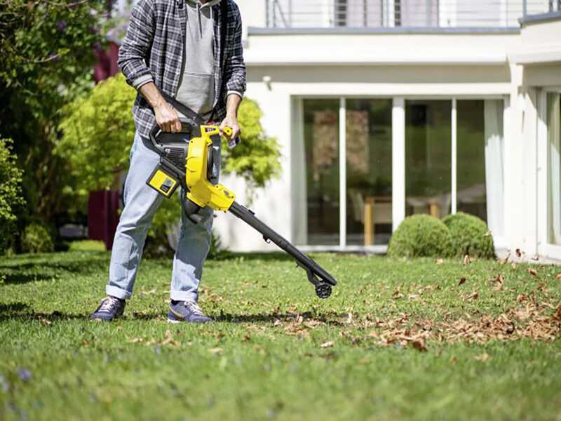 BLV 36-240 Leaf Blower - Garden Vacuum 