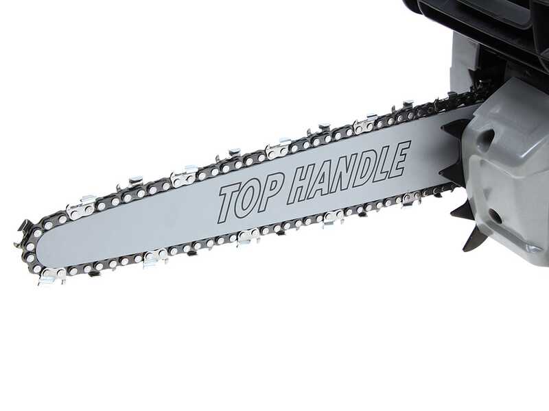 Alpina APR 25 C - Petrol Pruning Chainsaw - 25 cm Carving Blade