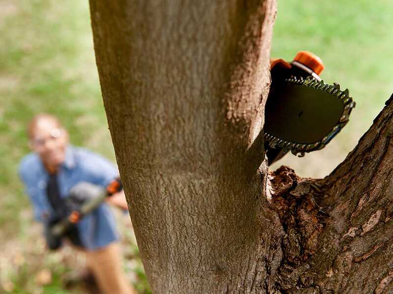 Worx WG349E.9 Battery-powered Pruner on Telescopic Pole - 20V - Up to 1.8-2.3 m Extension  - BATTERY AND BATTERY CHARGER NOT INCLUDED
