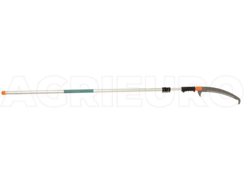 Extension pruning 2025 saw