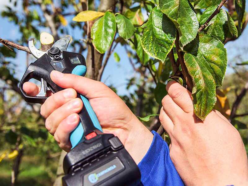 Campagnola Stark XM - Electric Pruning Shear - 3x 14,4V 2,5 Ah