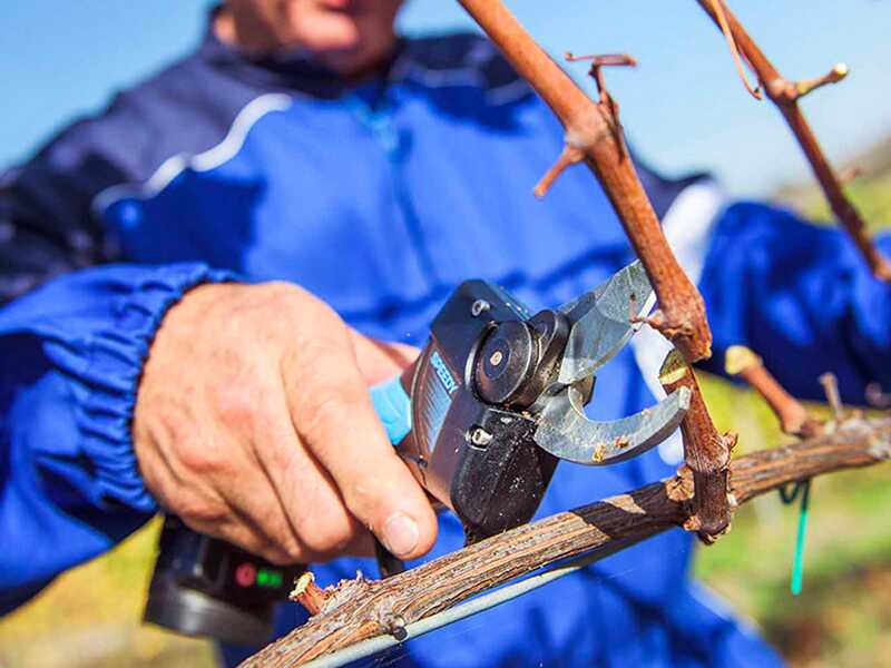 SPEEDY Campagnola Electric Pruning Shears - 2 x 2Ah batteries - 25mm Cutting diameter