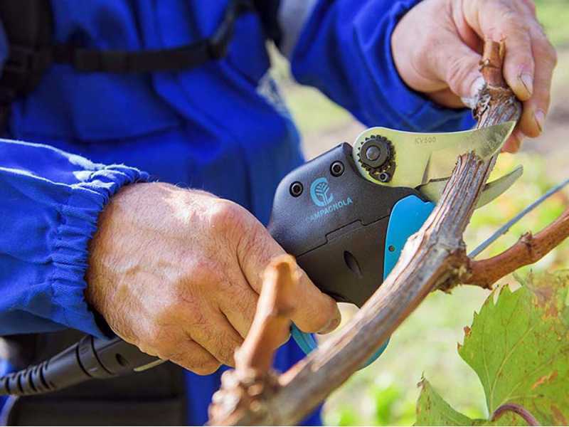 Electric hot sale gardening shears