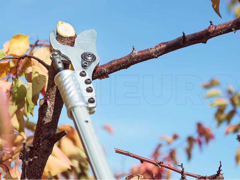Campagnola Easy 150 Electric Pruning Shears - BATTERY AND BATTERY CHARGER NOT INCLUDED