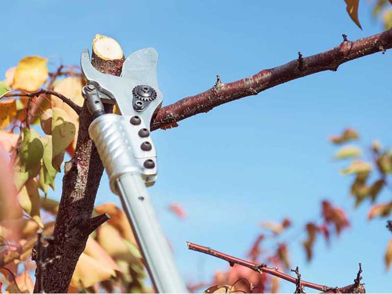 Campagnola Easy 150 Electric Pruning Shears - BATTERY AND BATTERY CHARGER NOT INCLUDED