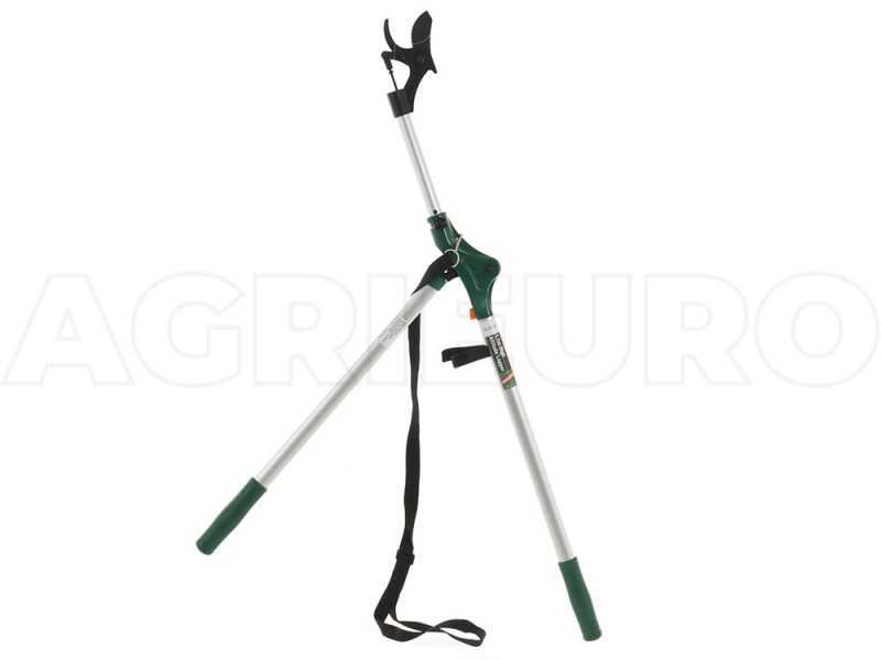 Extension tree shop saw
