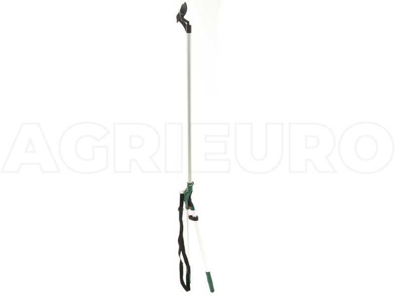 Extension cheap pruning saw