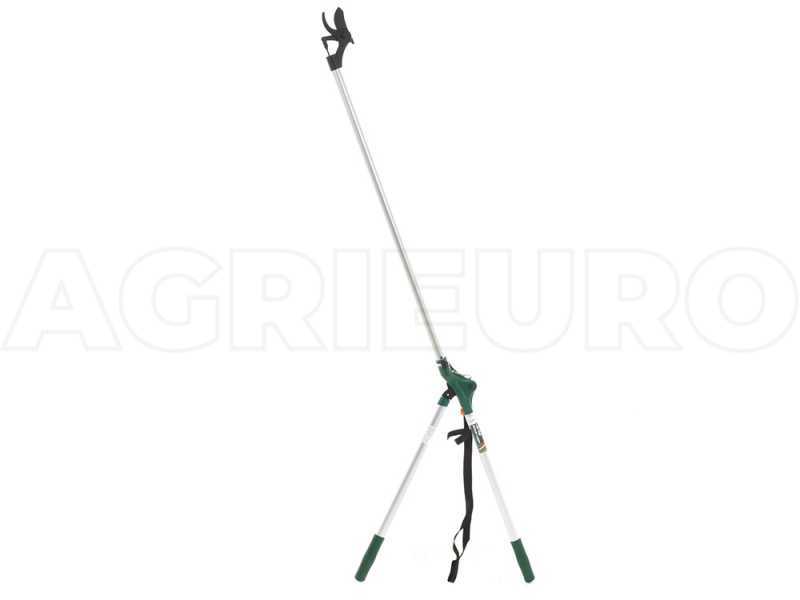 Extension tree shop saw