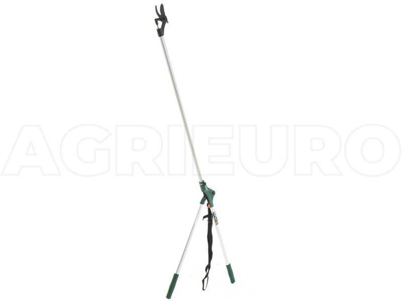 Extension tree shop saw