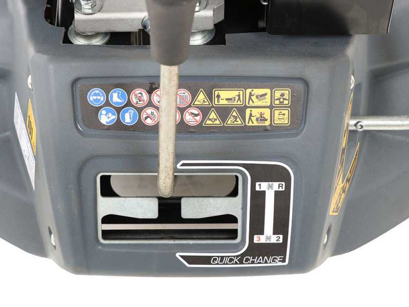 BLUE BIRD Transporter 500 D Tracked Power Barow - Dumper Barrow with 500 Kg Capacity