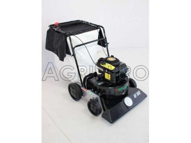 Benassi scarifier sale