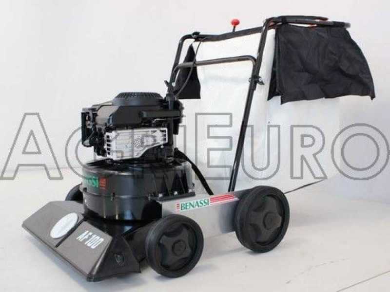 Leaf store blower push