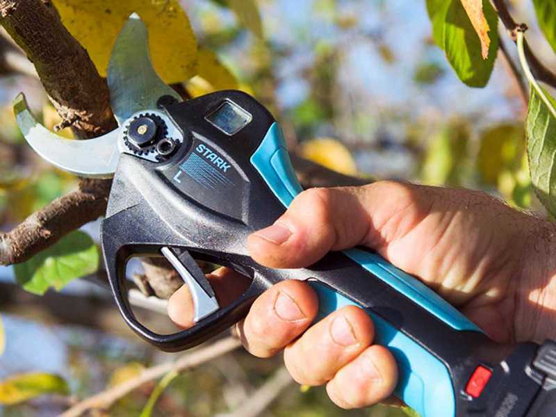 STARK L Campagnola Electric Pruning Shears on 150-230 cm extension pole - 2 x 2.5 Ah batteries