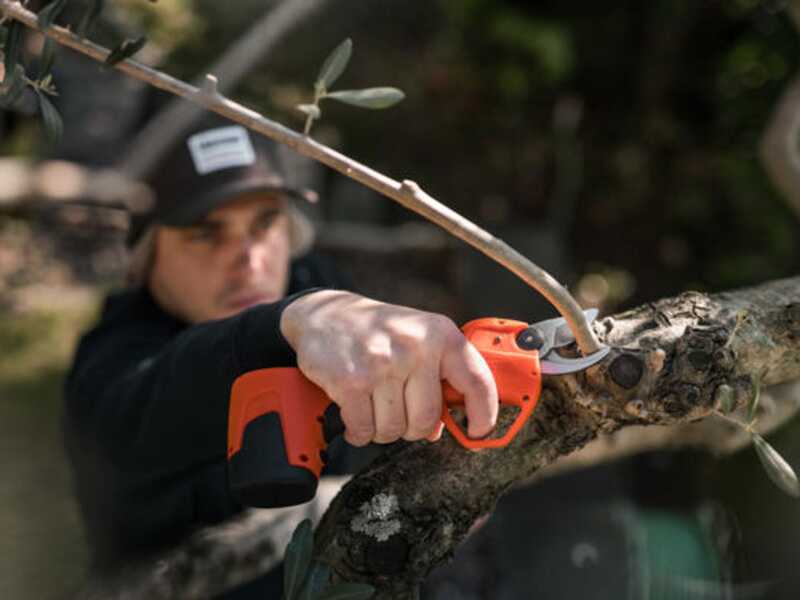 Stocker Vulcano E-30 TP Battery-powered Pruning Shears 16.8 V, Progressive Cut