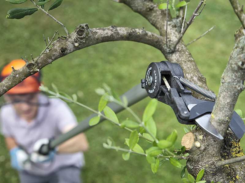 Battery-powered HELIUM+ Archman Lopping Shears with telescopic pole - swiveling cutting head
