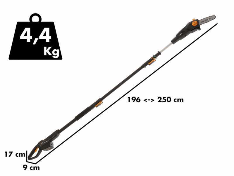 Alpina AMT 20 Li Multi-tool Battery-powered Pruner on Telescopic Pole - 20 V 4Ah Battery