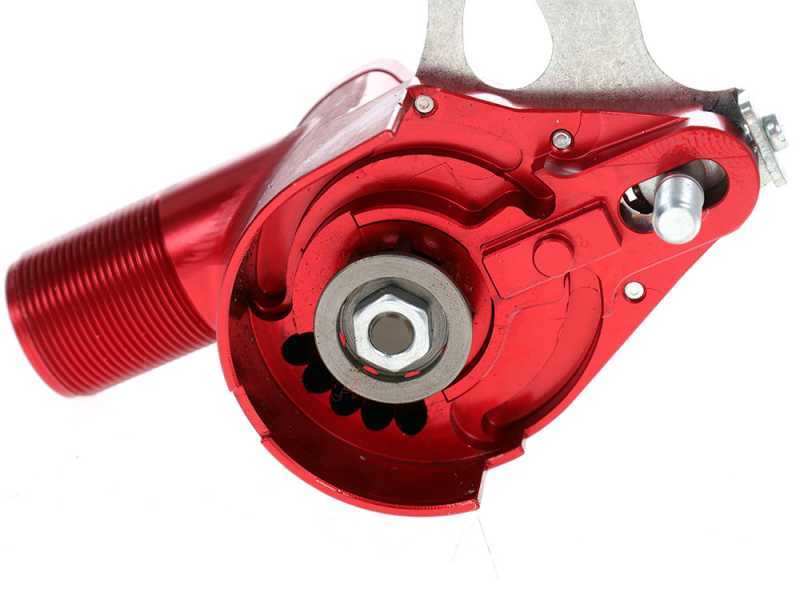 Sbaraglia Pneumatic Pruner with Carving Blade - Pruning Saw