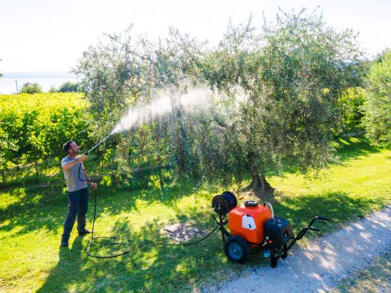 Stocker Art. 303 - Electric Sprayer Pump on Trolley with Spraying Bar - 80L - 12V