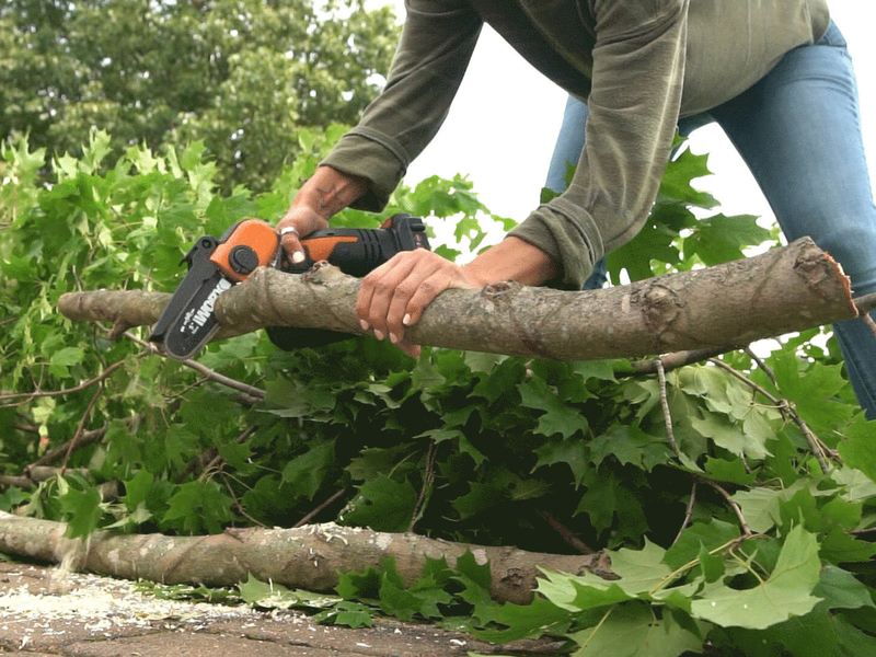Worx 32v best sale hedge trimmer