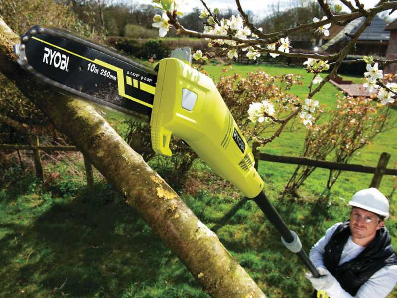 Ryobi RP750450 Extension Rod Hedge Trimmer - 750W/450W Motor