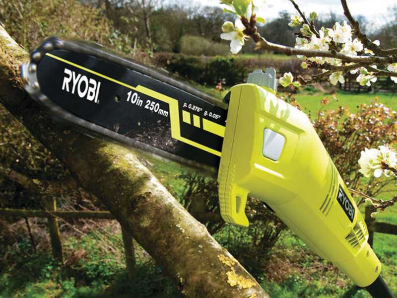Ryobi 750w pole saw hot sale