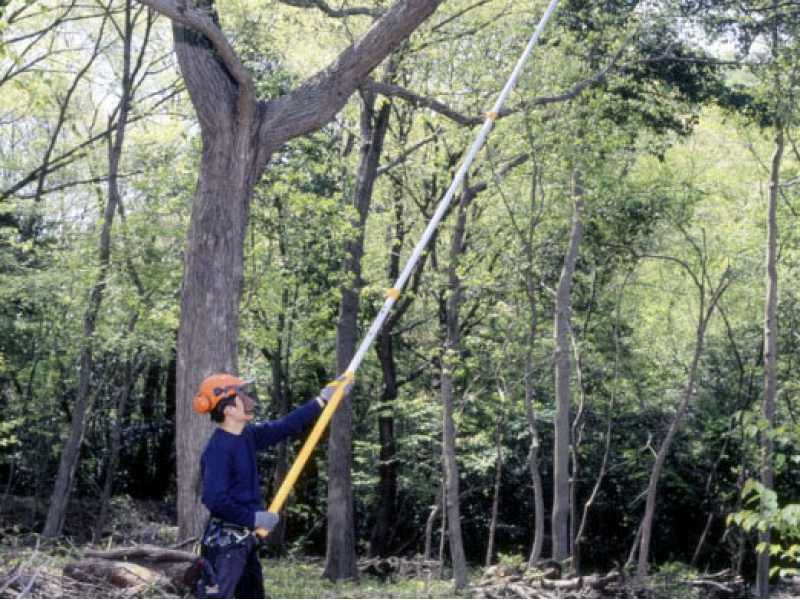 Silky Hayate 6100 Pruning Saw on telescopic pole best deal on AgriEuro