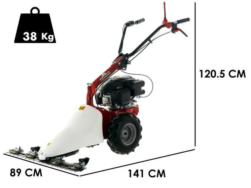 Eurosystems M210 - Twin blade mower - Loncin LC1P65FE