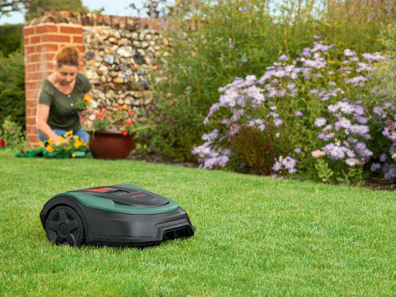 Bosch Indego XS 300 Robot Lawn Mower 18 V Lithium battery , best deal on AgriEuro