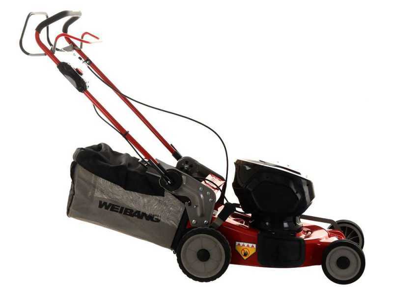 Weibang 21 mower outlet