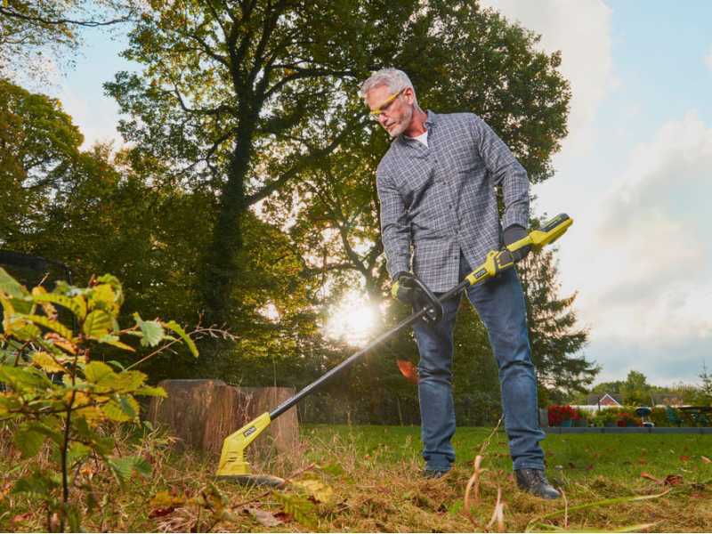 Ryobi outlet weed brush